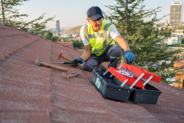 Best Fiber Cement Siding Installation  in Deland, FL