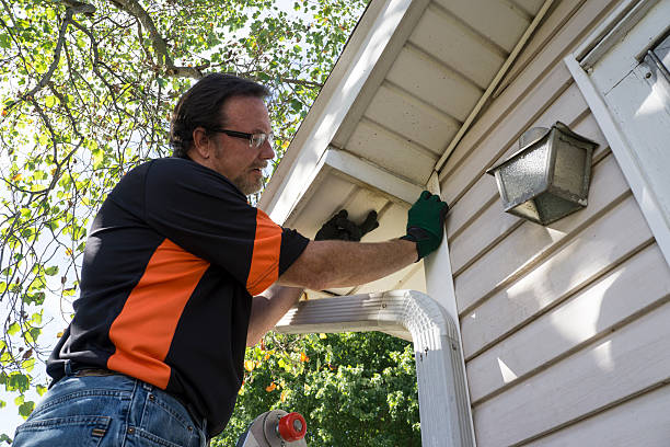 Best Storm Damage Siding Repair  in Deland, FL